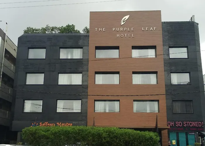 The Purple Leaf Hotels